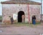 Ver album de fotos