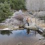 IMG_0065
