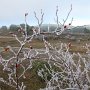 IMG_0069