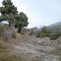 IMG_0070