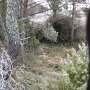 IMG_0071
