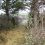IMG_0073