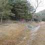 IMG_0078