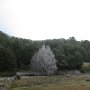IMG_0079