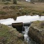 presa1