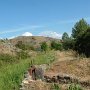 DSCF0007