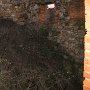 IMG_0086