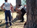 Corta con hacho (pareja)