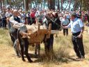 Cargando la leña