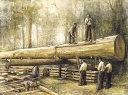 Aserrado de tablones