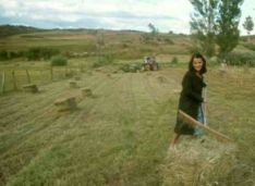 rastrillando hierba (1er plano 'Elena')