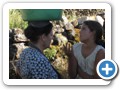 Imagen 006