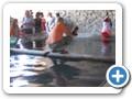 Imagen 022