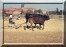 la trilla