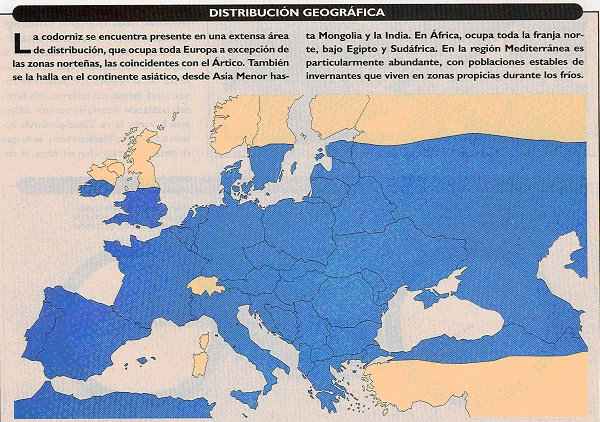 Distribucin geogrfica de la codorniz