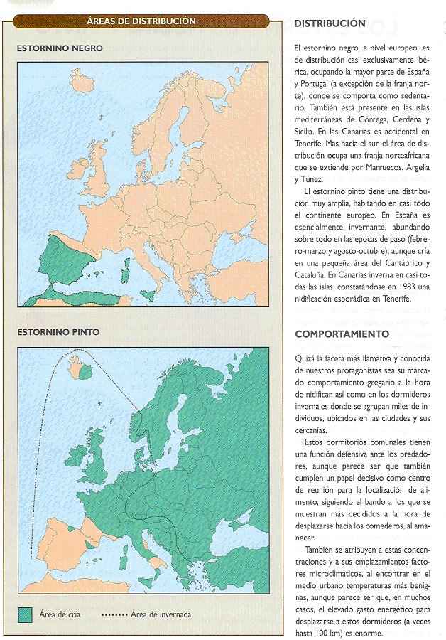 distribucin y comportamiento