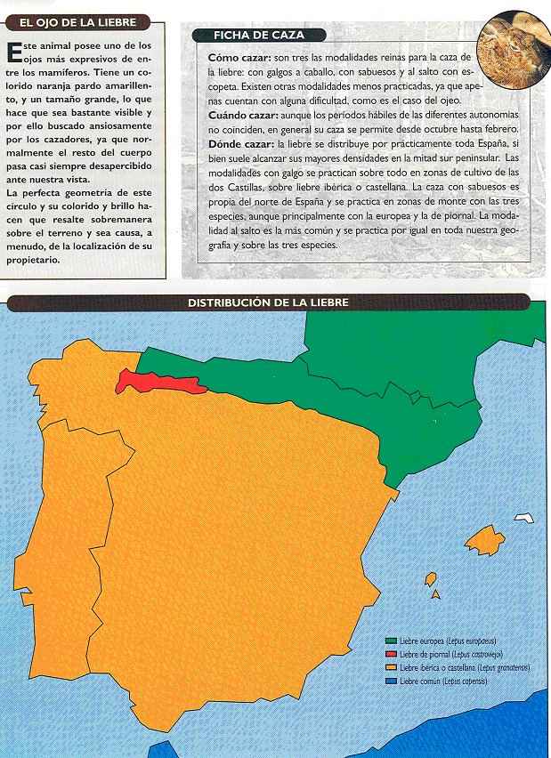 distribucin