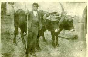 yunta serrana