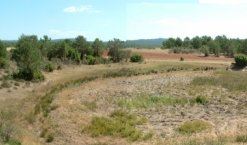 Pozairon de La Aldea (verano seco del 2005)