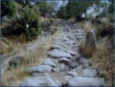 Camino de la Machota (El Escorial)