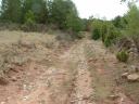 2 Tramo . Restos de calzada (losas alineadas a la dcha)