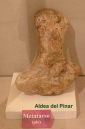 Metatarso (Aldea del Pinar)